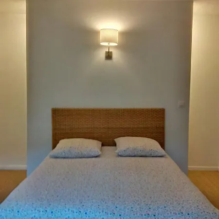 דירה Les Penates De Loire אנסניס