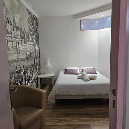 Les Penates De Loire 公寓 昂斯尼