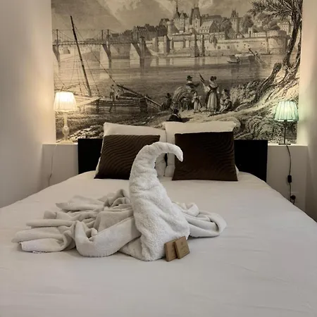 Les Penates De Loire 앙세니스
